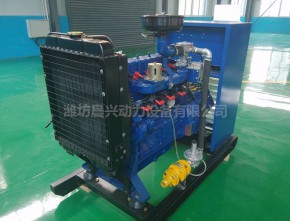 Weifang 30kw kW gas generating set motor